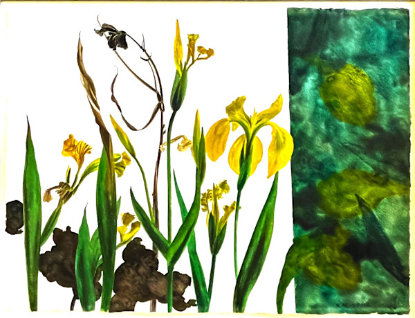 WATER IRISES by Keith Achepohl Trust