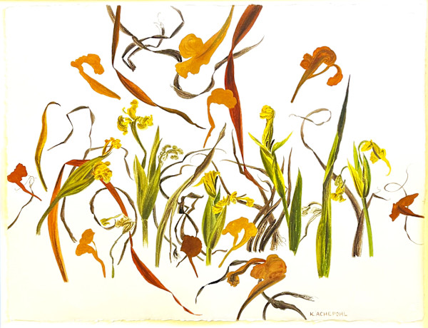 WATER IRISES by Keith Achepohl Trust