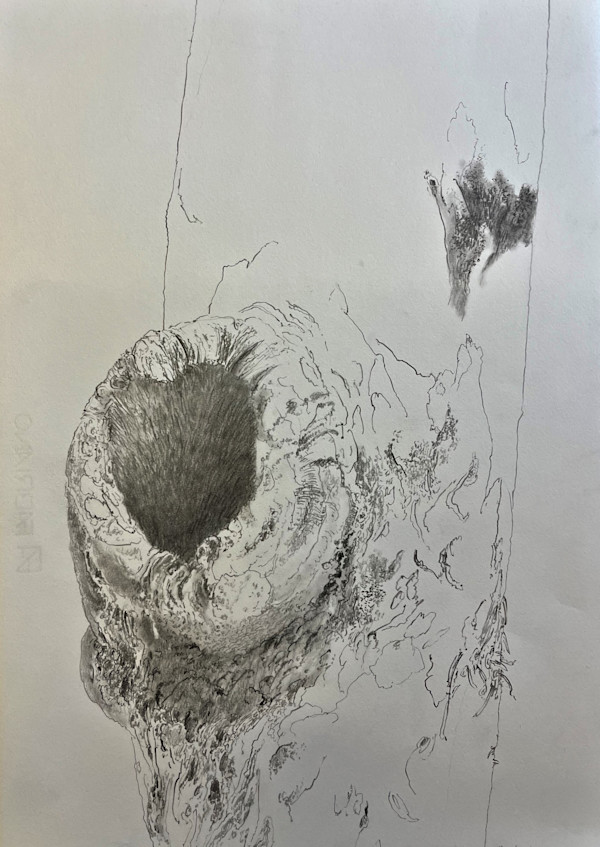 TREE MAPS by Keith Achepohl Trust