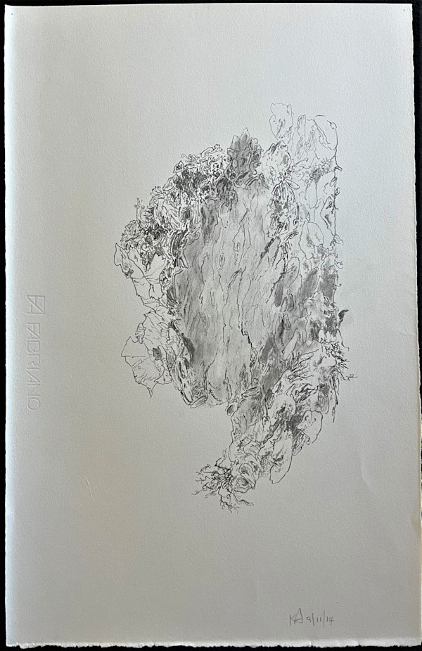 TREE MAPS by Keith Achepohl Trust