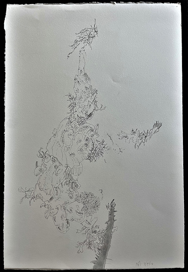 TREE MAPS by Keith Achepohl Trust
