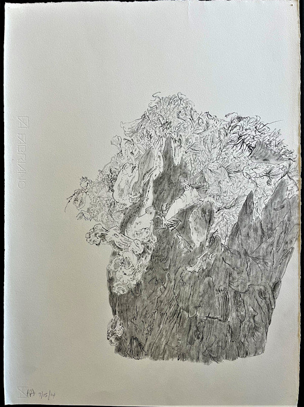 TREE MAPS by Keith Achepohl Trust