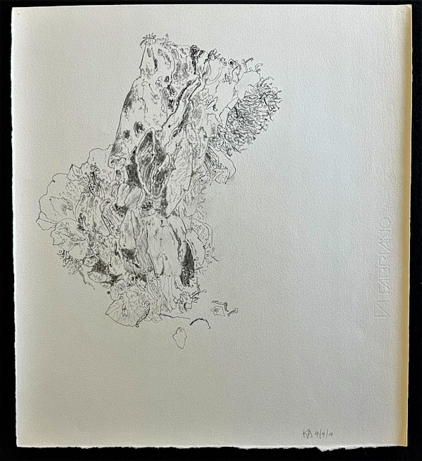 TREE MAPS by Keith Achepohl Trust