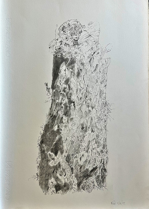 TREE MAPS by Keith Achepohl Trust