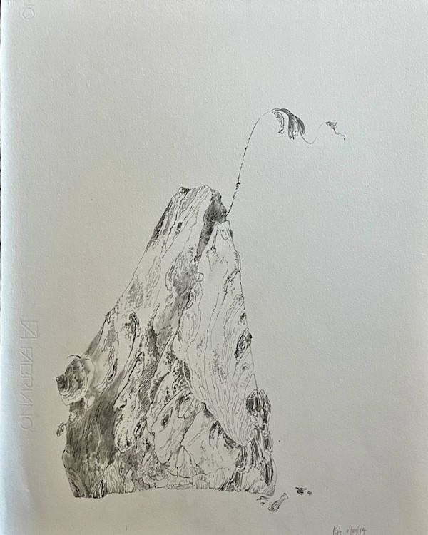 TREE MAPS by Keith Achepohl Trust