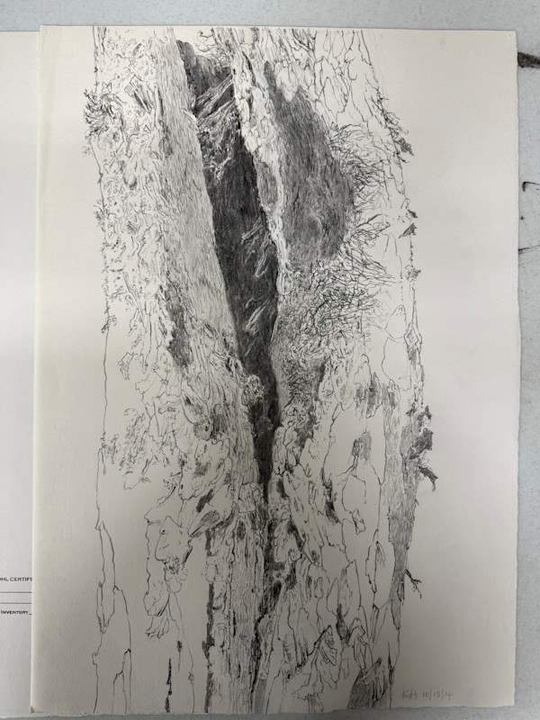TREE MAPS by Keith Achepohl, Image 1.