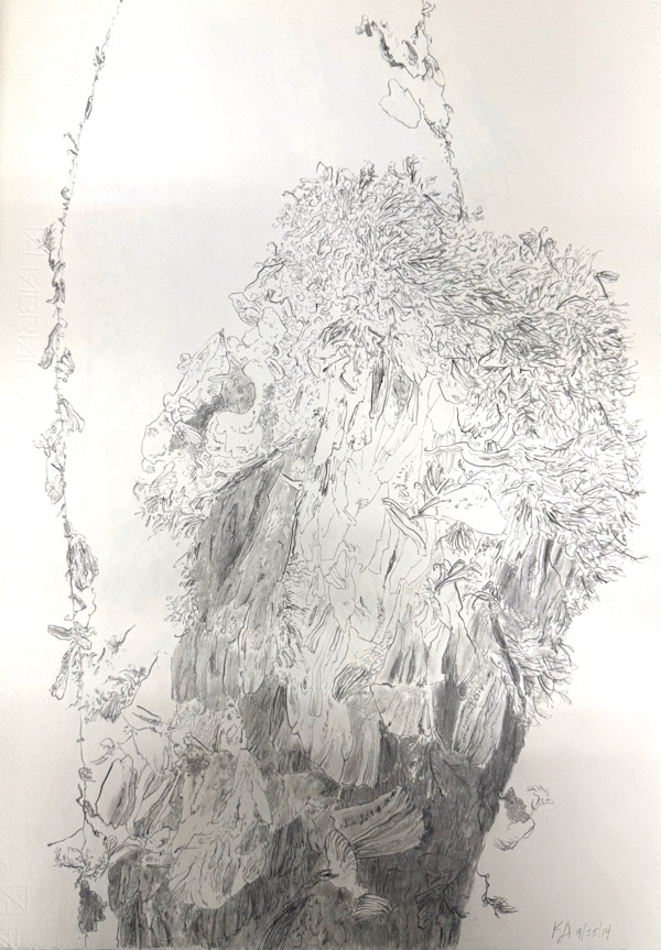 TREE MAPS by Keith Achepohl, Image 1.