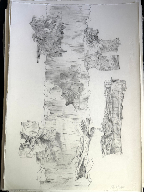 TREE MAPS #45 by Keith Achepohl