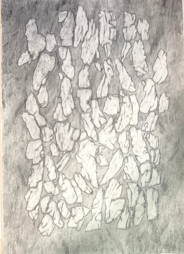 TREE MAPS #39 by Keith Achepohl