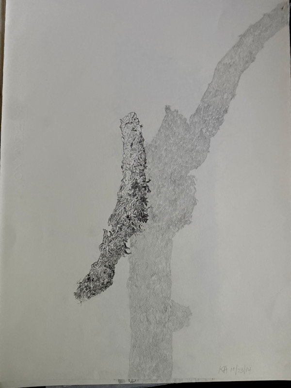 TREE MAPS #43 by Keith Achepohl
