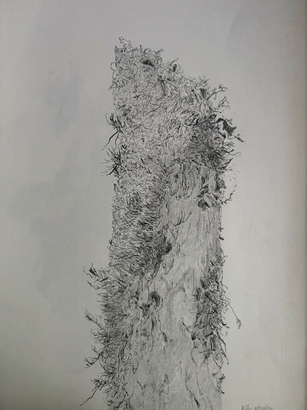 TREE MAPS #34 by Keith Achepohl