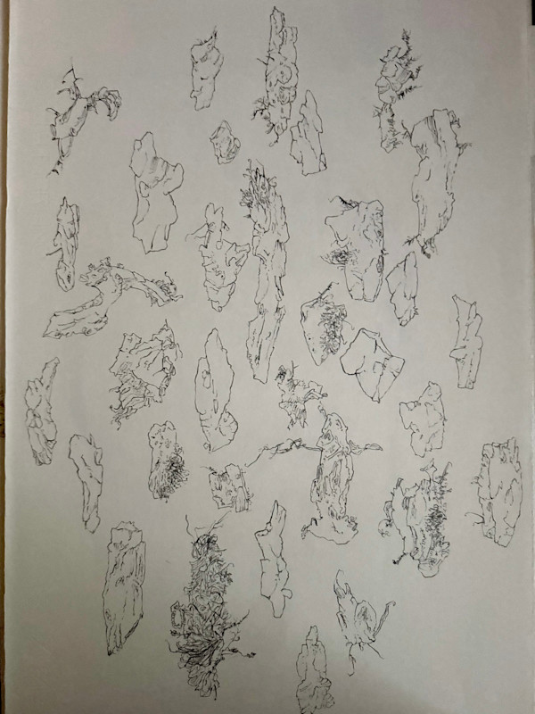 TREE MAPS #36 by Keith Achepohl