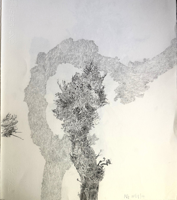 TREE MAPS #41 by Keith Achepohl