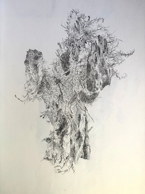 TREE MAPS #31 by Keith Achepohl