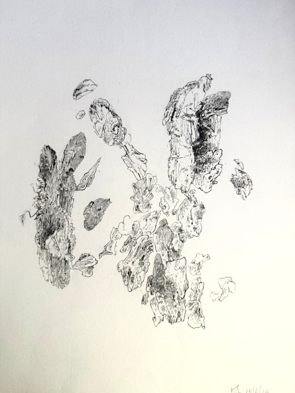 TREE MAPS #33 by Keith Achepohl