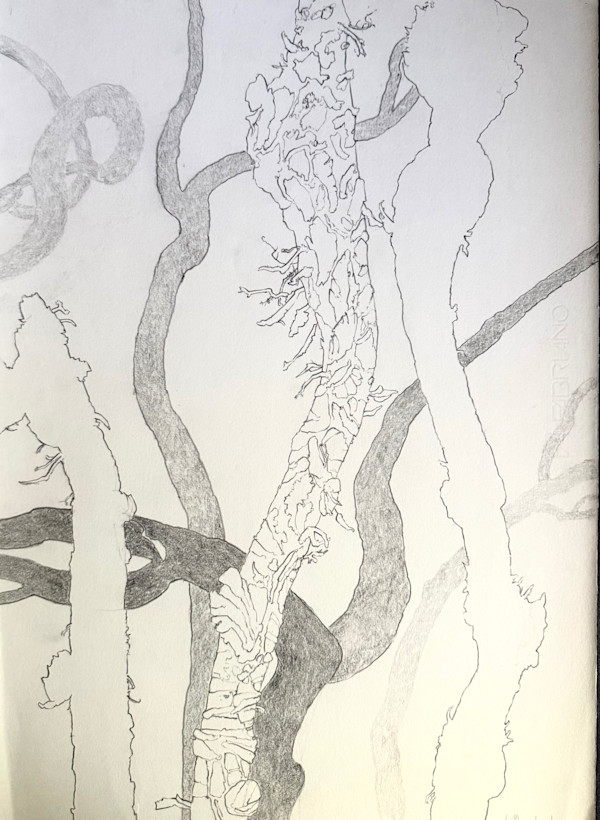 TREE MAPS #44 by Keith Achepohl