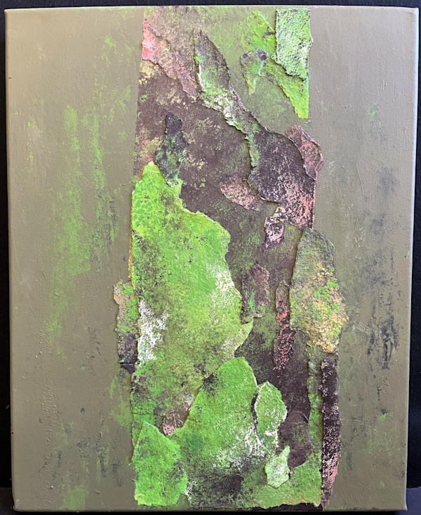 FOREST SEEN(s) by Keith Achepohl Trust