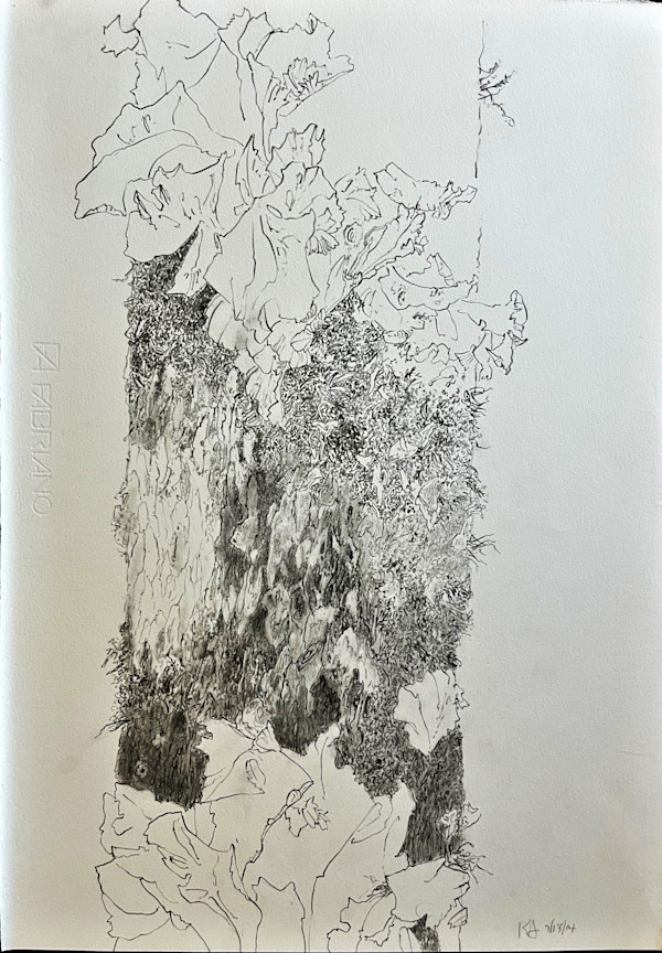 TREE MAPS by Keith Achepohl
