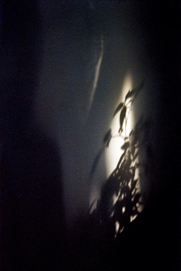 Shadows by Charlotte Rose Eshelman, Image 1.