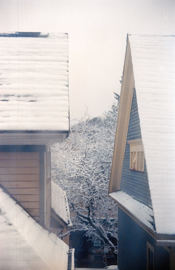 Two Houses Facing Each Other by Charlotte Rose Eshelman, Image 1.