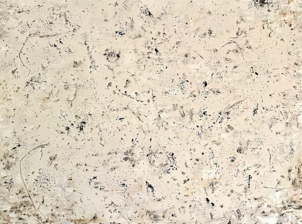 Concrete by Jo Coyle, Image 1.