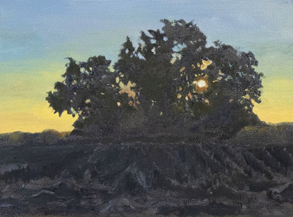 Trespassing by Jo Coyle, Image 13.