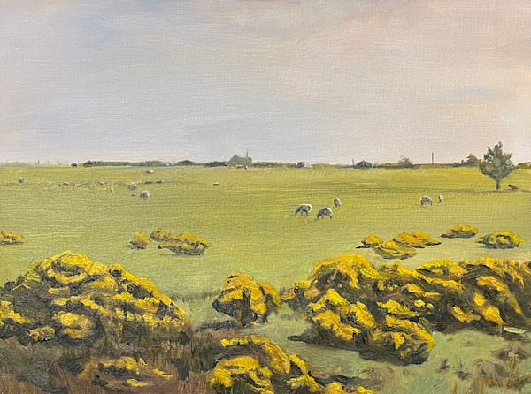 Dream Sheep by Jo Coyle, Image 2.