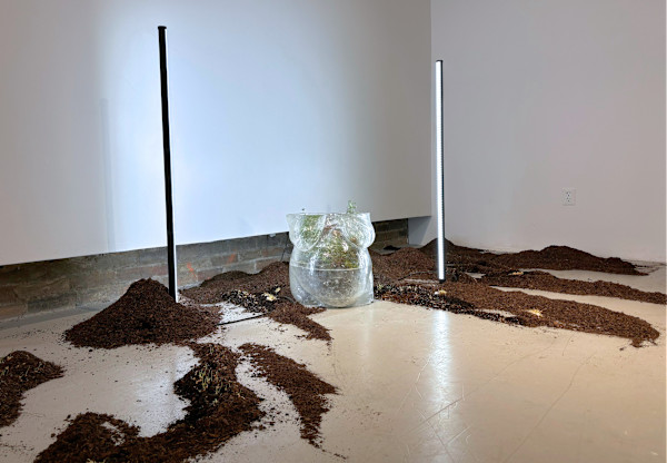 Inhospitable womb by Madyha J. Leghari