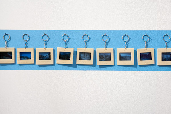 Souvenir of Access: Denied, Restricted, For Sale, Withheld, Limited by Kat Thompson