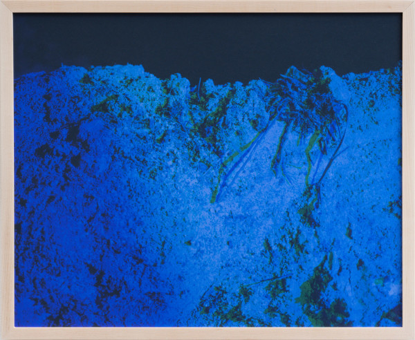 radiant forces series II: sulfurous blue by Jonna McKone