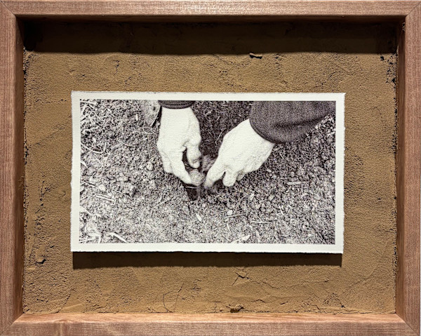 Take Care IV by Nilou Kazemzadeh, Image 1.