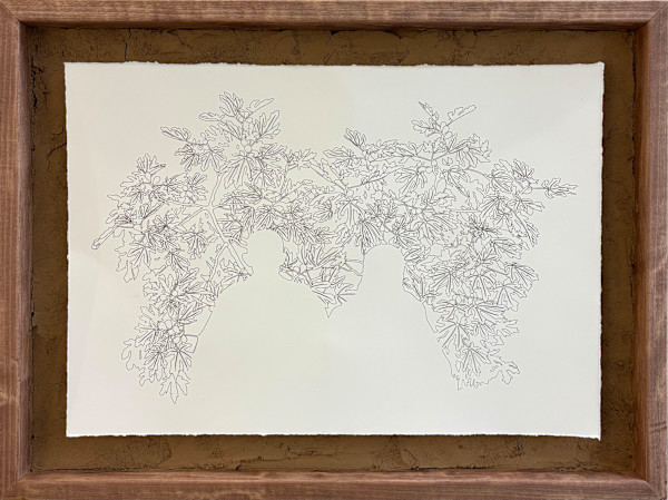 Tracing Family Archives (Grandparents) by Nilou Kazemzadeh