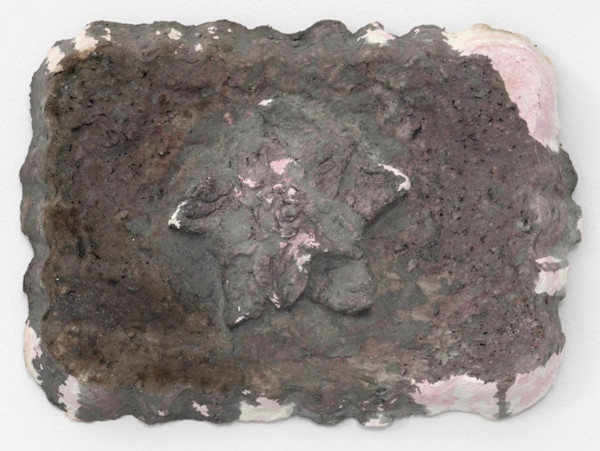 Birthday cake fossil by June Canedo de Souza