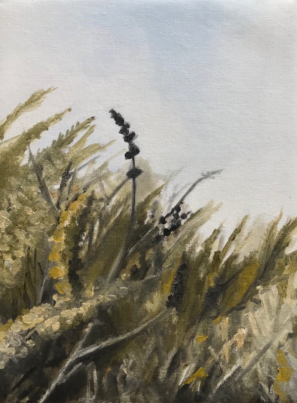 Field by Nick Fyhrie