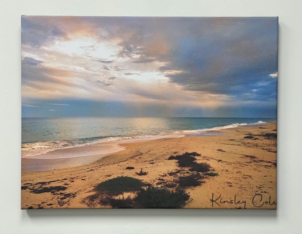 South Florida Coast by Kinsley Cole Studio