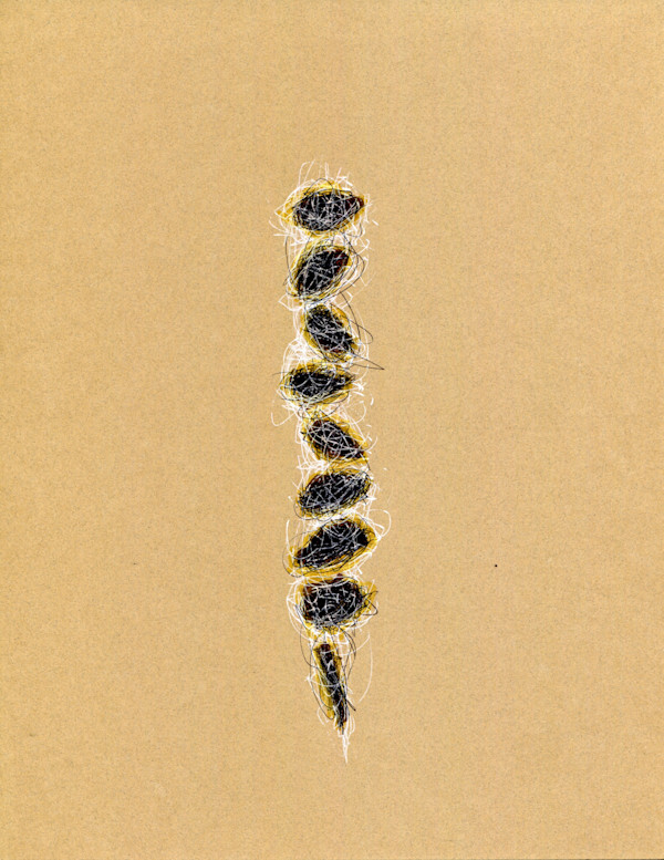 Stacked Thoughts .02 by Timothy Nero Studio