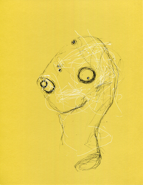 Some Confusion by Timothy Nero Studio