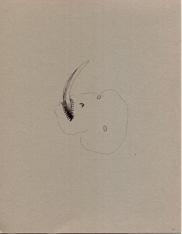 Air Licker by Timothy Nero Studio, Image 1.