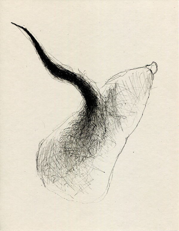 Dreadful Shape Vague Form.02 by Timothy Nero Studio