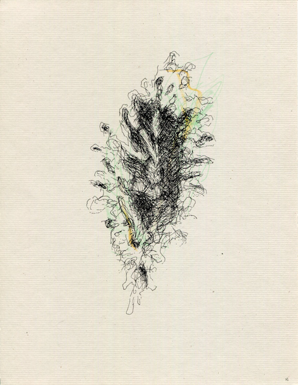 Mind In The Wild by Timothy Nero Studio