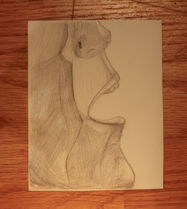 Miniatures | Study in Faces 1 (sketch) by Meli and Rose