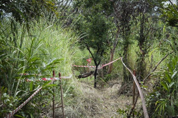 Campos Minados - In Depth (Landmines)/ Angolla Series by Alice Miceli