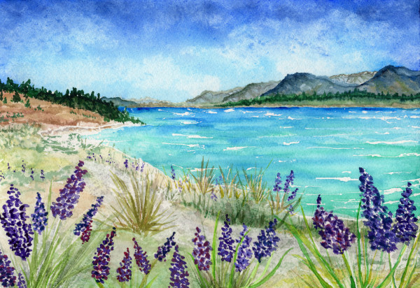 Lupin by the Lake by Rachael LaMielle