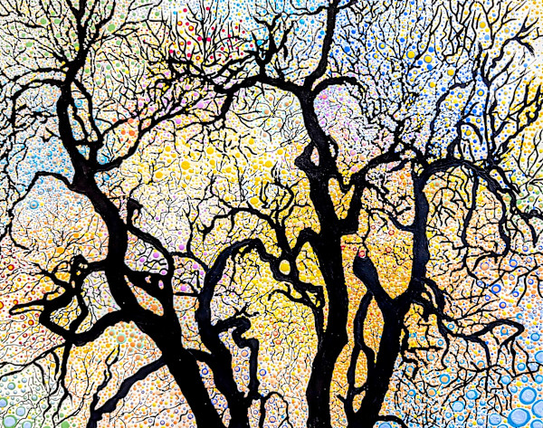 Intersection by Rachael LaMielle