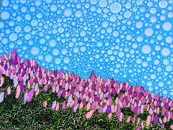 Wayside Lupine by Rachael LaMielle, Image 14.