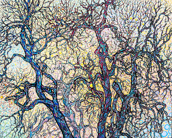 Intersection by Rachael LaMielle, Image 1.