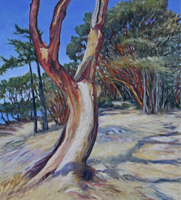 Arbutus on Saint John Point by Terrill Welch 