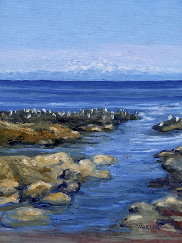 Reef Bay Afternoon by Terrill Welch
