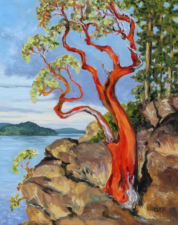 Arbutus Glowing After the Rains by Terrill Welch
