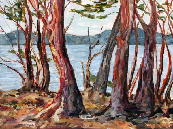 Arbutus Tree Morning St John’s Point study by Terrill Welch 